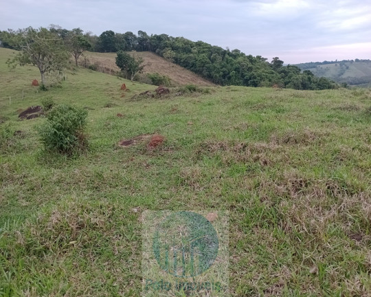 Imagem Imóvel com 3 Quartos à Venda, 270.000 m² em Pinhal - Jacuí Imagem Imóvel com 3 Quartos à Venda, 270.000 m² em Pinhal - Jacuí