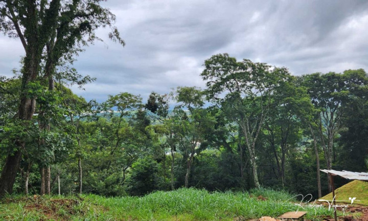 Imagem Terreno à Venda, 2.525 m² em Residencial Aldeia Do Vale - Goiânia Imagem Terreno à Venda, 2.525 m² em Residencial Aldeia Do Vale - Goiânia