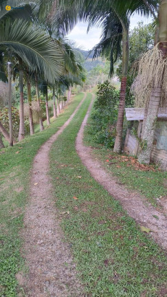 Imagem Fazenda à Venda, 10.000 m² em Vila Junckes - São Pedro De Alcântara Imagem Fazenda à Venda, 10.000 m² em Vila Junckes - São Pedro De Alcântara