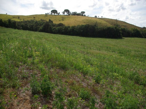 Imagem Imóvel à Venda, 435.600 m² em Zona Rural - Jacui Imagem Imóvel à Venda, 435.600 m² em Zona Rural - Jacui