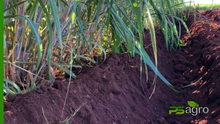 Imagem Fazenda à Venda, 150.766 m² em Centro - Itapura