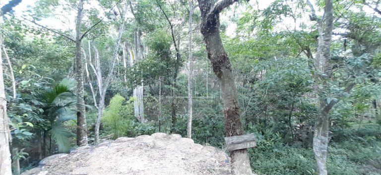 Imagem Terreno à Venda, 4.163 m² em Vargem Grande - Florianópolis Imagem Terreno à Venda, 4.163 m² em Vargem Grande - Florianópolis