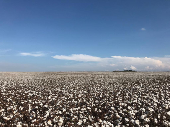 Imagem Fazenda à Venda, 2.178 m² em Rural - Itaí Imagem Fazenda à Venda, 2.178 m² em Rural - Itaí