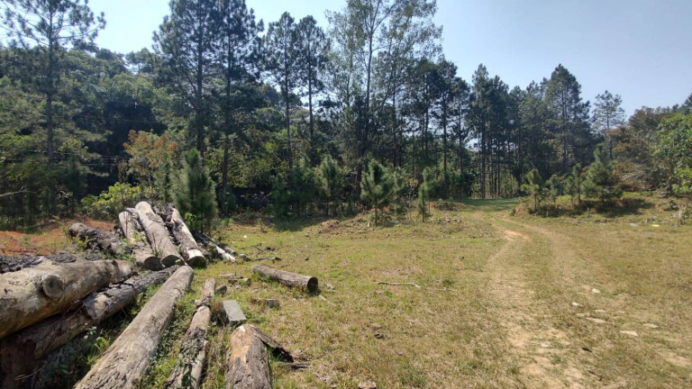 Imagem Galpão para Alugar, 1 m² em Jardim Barbacena - Cotia Imagem Galpão para Alugar, 1 m² em Jardim Barbacena - Cotia