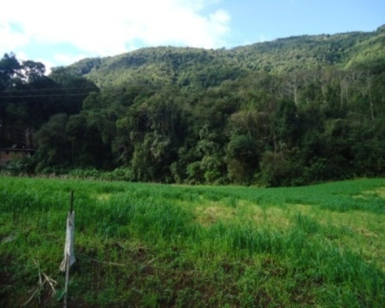 Imagem Terreno à Venda, 6 m² em São José Do Caí - Nova Petrópolis Imagem Terreno à Venda, 6 m² em São José Do Caí - Nova Petrópolis