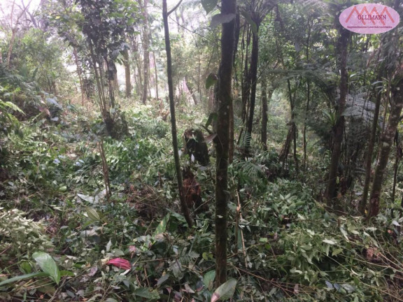 Imagem Terreno à Venda, 1.695 m² em Chácara Carreiras - Santo André Imagem Terreno à Venda, 1.695 m² em Chácara Carreiras - Santo André