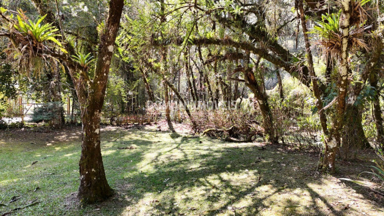 Imagem Terreno à Venda, 1.110 m² em Região De Capivari - Campos Do Jordão Imagem Terreno à Venda, 1.110 m² em Região De Capivari - Campos Do Jordão