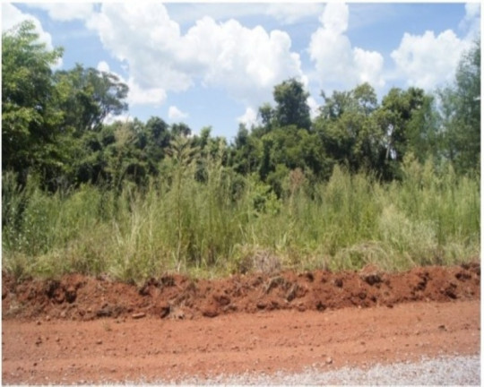 Imagem Terreno à Venda, 3 m² em Fazenda Pirajá - Nova Petrópolis Imagem Terreno à Venda, 3 m² em Fazenda Pirajá - Nova Petrópolis