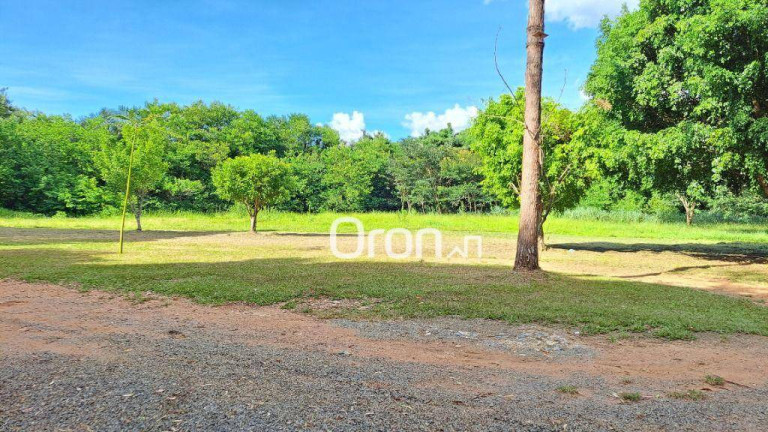 Imagem Chácara com 4 Quartos à Venda, 46.000 m² em Trindade - Trindade