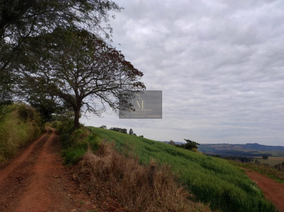 Imagem Terreno à Venda, 2.600 m² em Tomazina - Tomazina Imagem Terreno à Venda, 2.600 m² em Tomazina - Tomazina