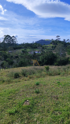 Imagem Fazenda à Venda, em Canguiri - Imaruí Imagem Fazenda à Venda, em Canguiri - Imaruí