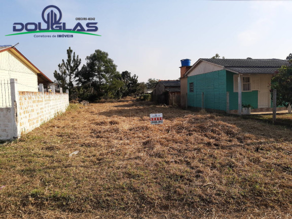 Imagem Terreno à Venda, em águas Claras - Viamão Imagem Terreno à Venda, em águas Claras - Viamão