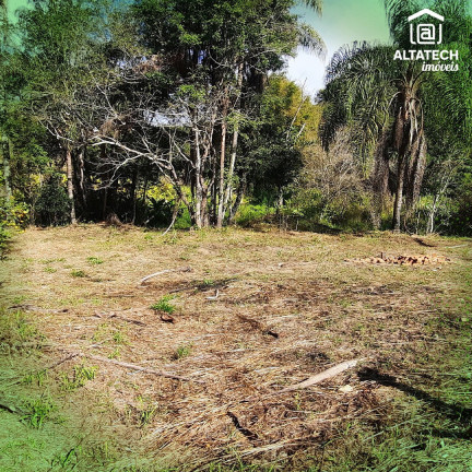 Imagem Imóvel com 3 Quartos à Venda, 18.900 m² em Afonso (rural) - Bandeira Do Sul