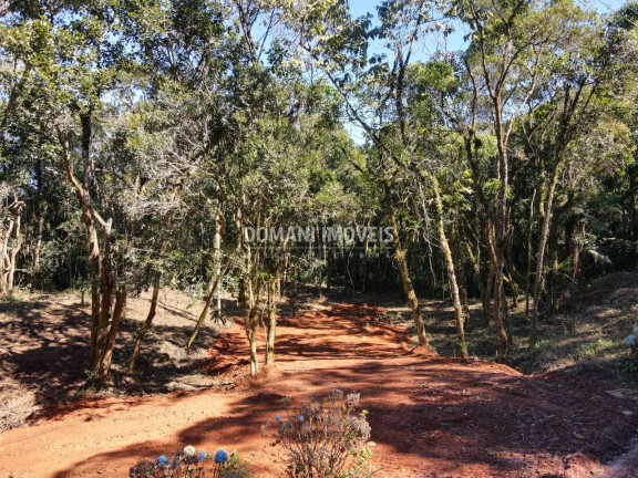 Imóvel à Venda,  em Região De Santo Antônio Do Pinhal - Santo Antônio Do Pinhal