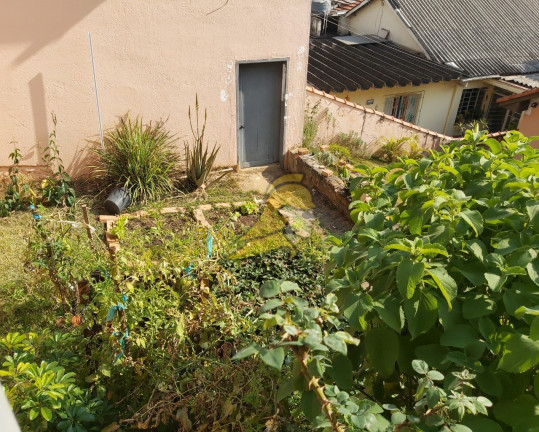 Imagem Terreno à Venda, 250 m² em Jardim Monte Kemel - São Paulo Imagem Terreno à Venda, 250 m² em Jardim Monte Kemel - São Paulo
