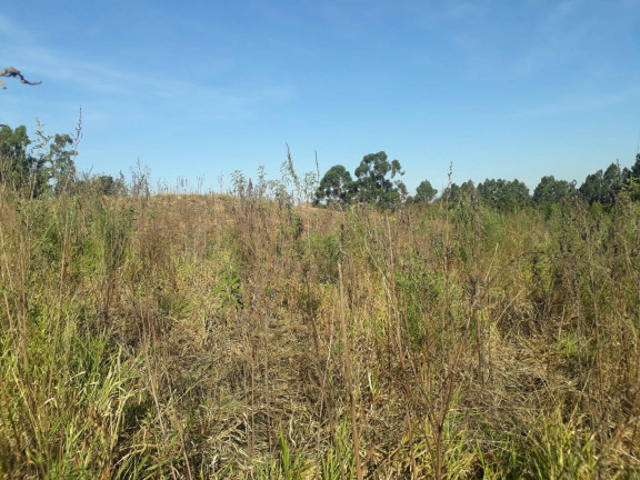Terreno à Venda, 28.000 m² em Ortizes - Piedade