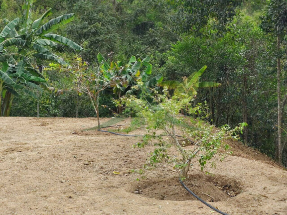 Imagem Terreno à Venda, 5.300 m² em Portão - Atibaia Imagem Terreno à Venda, 5.300 m² em Portão - Atibaia