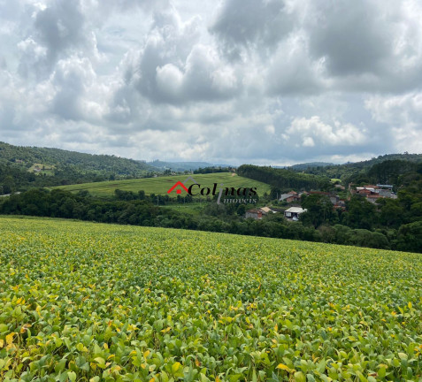 Imagem Terreno à Venda, 276.773 m² em Depois Do Centro - Ibiúna Imagem Terreno à Venda, 276.773 m² em Depois Do Centro - Ibiúna