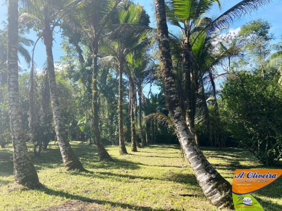 Imagem Chácara com 1 Quarto à Venda, 100 m² em Ubatumirim - Ubatuba