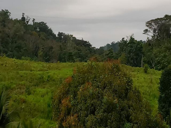 Imagem Fazenda à Venda, 10.000 m² em Taboquinhas - Itacaré Imagem Fazenda à Venda, 10.000 m² em Taboquinhas - Itacaré