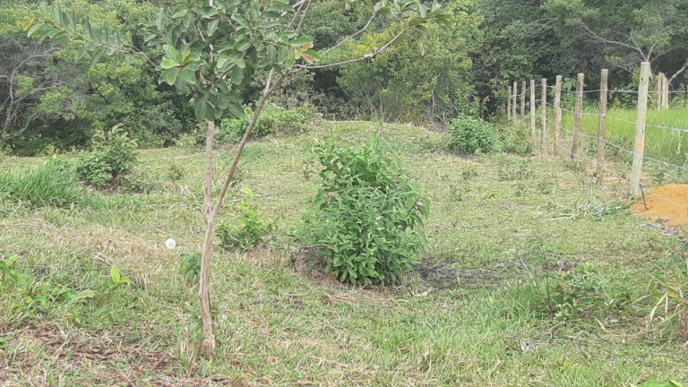 Imagem Imóvel à Venda, 1.000 m² em Vila Merlo - Cariacica Imagem Imóvel à Venda, 1.000 m² em Vila Merlo - Cariacica