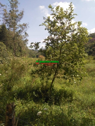 Imagem Chácara à Venda, 24.200 m² em São Francisco Xavier - São José Dos Campos Imagem Chácara à Venda, 24.200 m² em São Francisco Xavier - São José Dos Campos