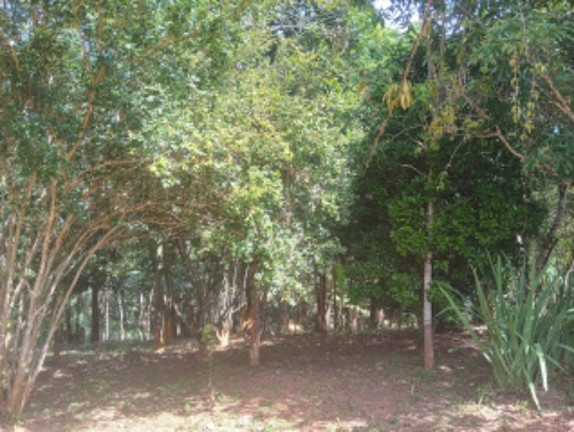 Imagem Imóvel com 2 Quartos à Venda, 9.000 m² em Condomínio Rural Clube Campestre De Caeté Juca Vieira - Caeté Imagem Imóvel com 2 Quartos à Venda, 9.000 m² em Condomínio Rural Clube Campestre De Caeté Juca Vieira - Caeté