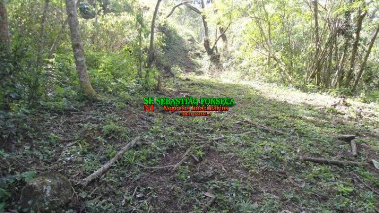 Imagem Chácara à Venda, 72.600 m² em São Francisco Xavier - São José Dos Campos