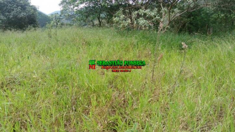 Imagem Chácara com 3 Quartos à Venda, 5.000 m² em Centro - Paraibuna Imagem Chácara com 3 Quartos à Venda, 5.000 m² em Centro - Paraibuna