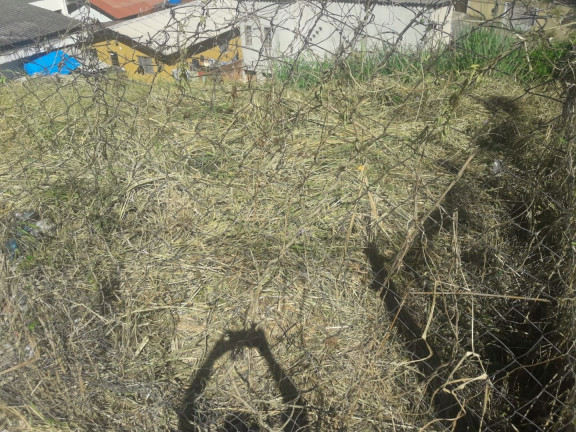 Imagem Terreno à Venda, 305 m² em Jardim Nomura - Cotia Imagem Terreno à Venda, 305 m² em Jardim Nomura - Cotia