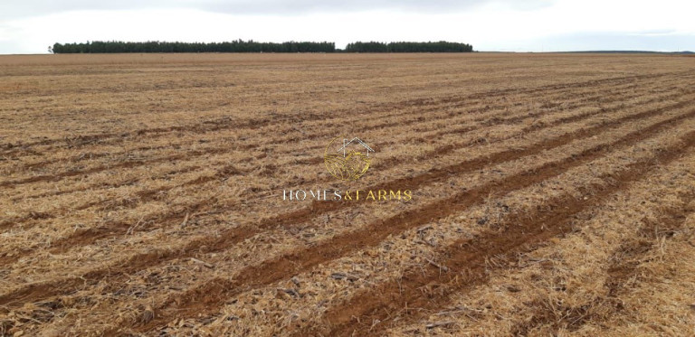 Imagem Imóvel com 3 Quartos à Venda, 17.897 m² em Zona Rural - água Boa Imagem Imóvel com 3 Quartos à Venda, 17.897 m² em Zona Rural - água Boa