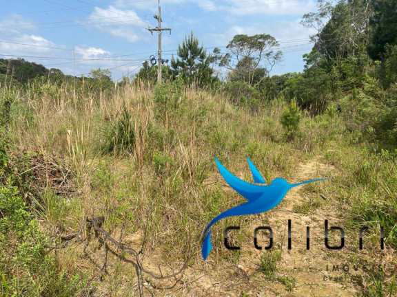Imagem Terreno à Venda, 730 m² em Quatro Pinheiros - Mandirituba Imagem Terreno à Venda, 730 m² em Quatro Pinheiros - Mandirituba