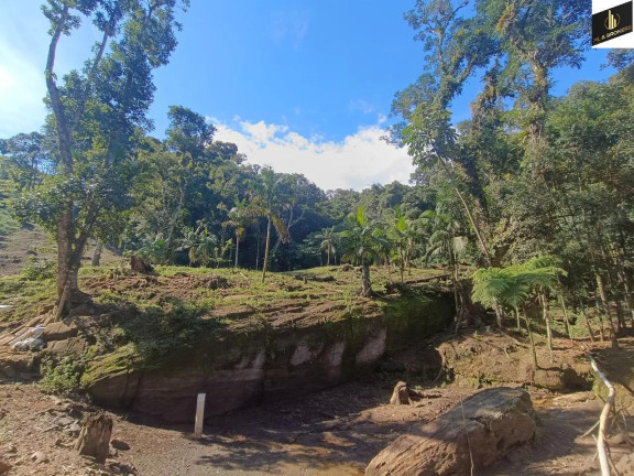 Imagem Imóvel com 2 Quartos à Venda, 182.000 m² em Zona Rural - Tunas Do Parana Imagem Imóvel com 2 Quartos à Venda, 182.000 m² em Zona Rural - Tunas Do Parana