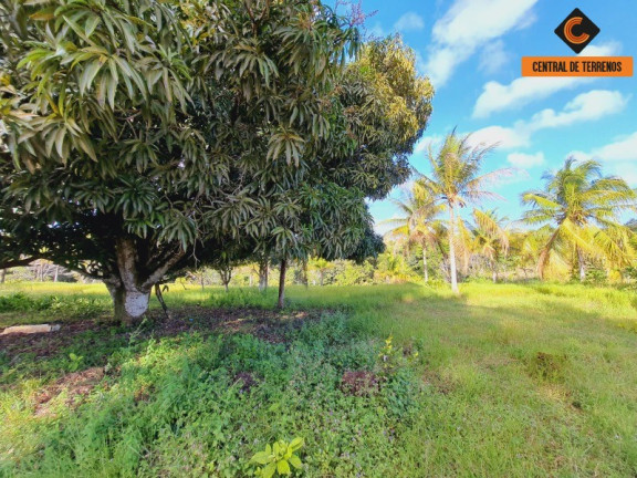 Imagem Imóvel com 2 Quartos à Venda, 500.000 m² em Itapecerica - Itanagra Imagem Imóvel com 2 Quartos à Venda, 500.000 m² em Itapecerica - Itanagra