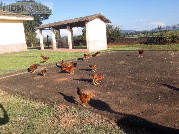 Imagem Chácara à Venda, 600.000 m² em Centro - Jacutinga Imagem Chácara à Venda, 600.000 m² em Centro - Jacutinga