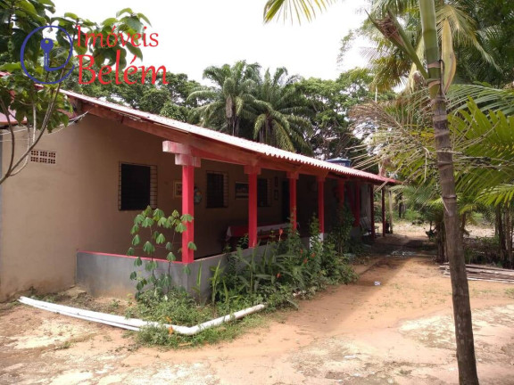 Imagem Casa com 3 Quartos à Venda, 170 m² em Centro - Vigia Imagem Casa com 3 Quartos à Venda, 170 m² em Centro - Vigia