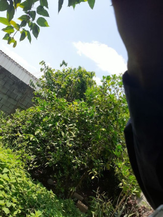 Imagem Casa com 2 Quartos à Venda, 60 m² em Novo Riacho - Contagem