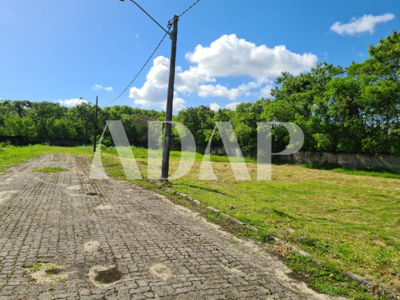 Imagem Terreno à Venda, 250 m² em Recreio Dos Bandeirantes - Rio De Janeiro Imagem Terreno à Venda, 250 m² em Recreio Dos Bandeirantes - Rio De Janeiro
