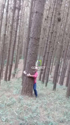 Imagem Fazenda à Venda, 4.477.000 m² em Zona Rural - Bocaiúva Do Sul Imagem Fazenda à Venda, 4.477.000 m² em Zona Rural - Bocaiúva Do Sul