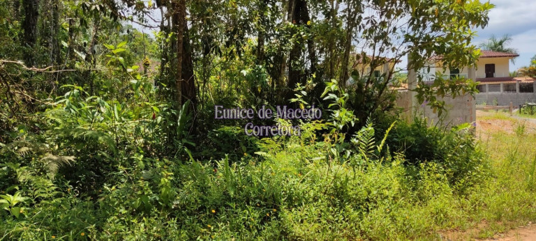 Terreno à Venda, 750 m² em Massaguaçu - Caraguatatuba