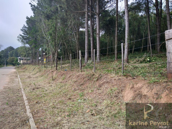 Imagem Terreno à Venda, 250 m² em Campestre - São Leopoldo Imagem Terreno à Venda, 250 m² em Campestre - São Leopoldo