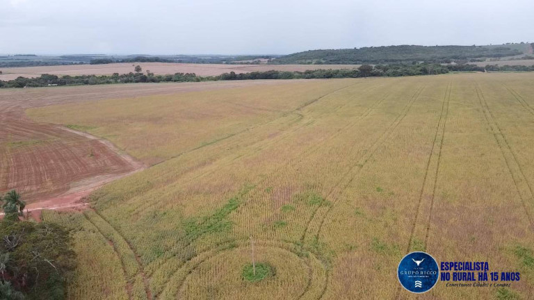 Imagem Fazenda à Venda, 116 m² em Zona Rural - Rio Verde Imagem Fazenda à Venda, 116 m² em Zona Rural - Rio Verde