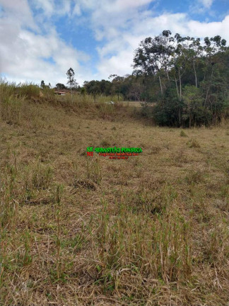 Imagem Chácara à Venda, 6.000 m² em Bairro Dos Pinheiros - Natividade Da Serra Imagem Chácara à Venda, 6.000 m² em Bairro Dos Pinheiros - Natividade Da Serra