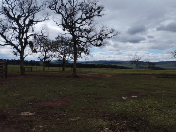 Imagem Fazenda à Venda, 76 m² em Rural - Taquarituba Imagem Fazenda à Venda, 76 m² em Rural - Taquarituba