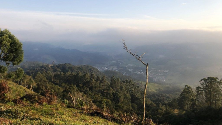 Imagem Imóvel com 2 Quartos à Venda, 950.000 m² em Zona Rural - Presidente Nereu
