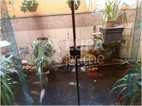 Imagem Casa com 4 Quartos à Venda, 320 m² em Vila Maria Alta - São Paulo Imagem Casa com 4 Quartos à Venda, 320 m² em Vila Maria Alta - São Paulo