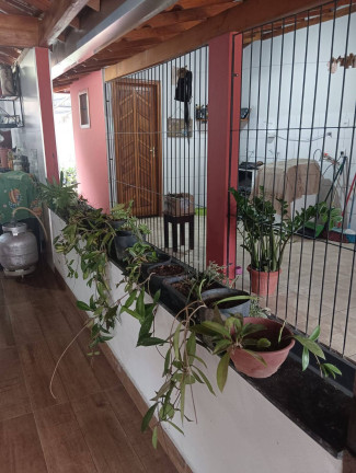 Imagem Chácara com 3 Quartos à Venda, 4 m² em Pontal Alto - Domingos Martins