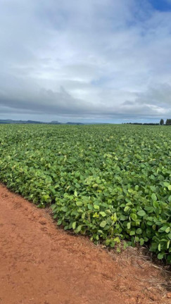 Imagem Fazenda à Venda, 2.698 m² em Rural - Itaporanga Imagem Fazenda à Venda, 2.698 m² em Rural - Itaporanga