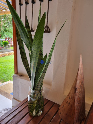 Imóvel com 6 Quartos à Venda, 250 m² em Abadiania - Abadiânia