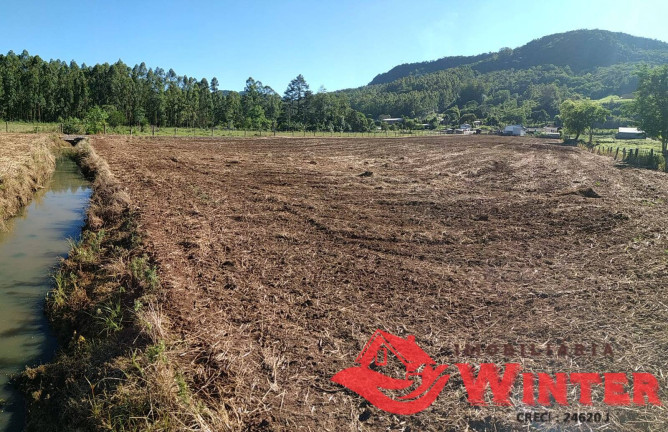 Imagem Imóvel Comercial à Venda, 25.000 m² em Bom Princípio Imagem Imóvel Comercial à Venda, 25.000 m² em Bom Princípio